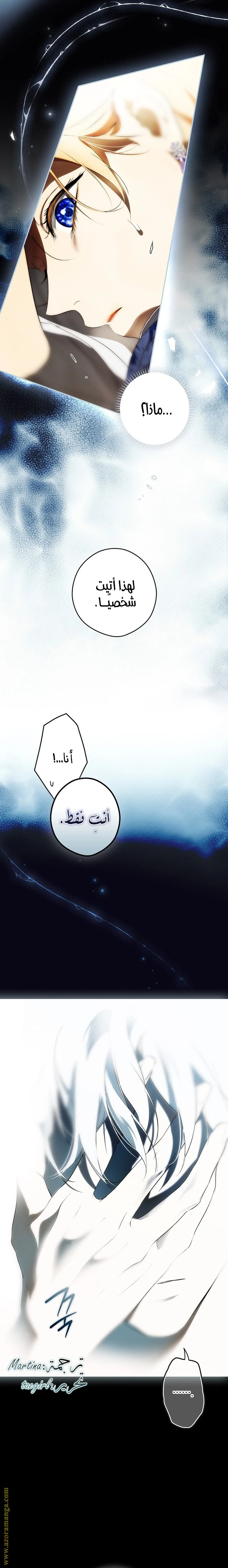 الصفحة 21