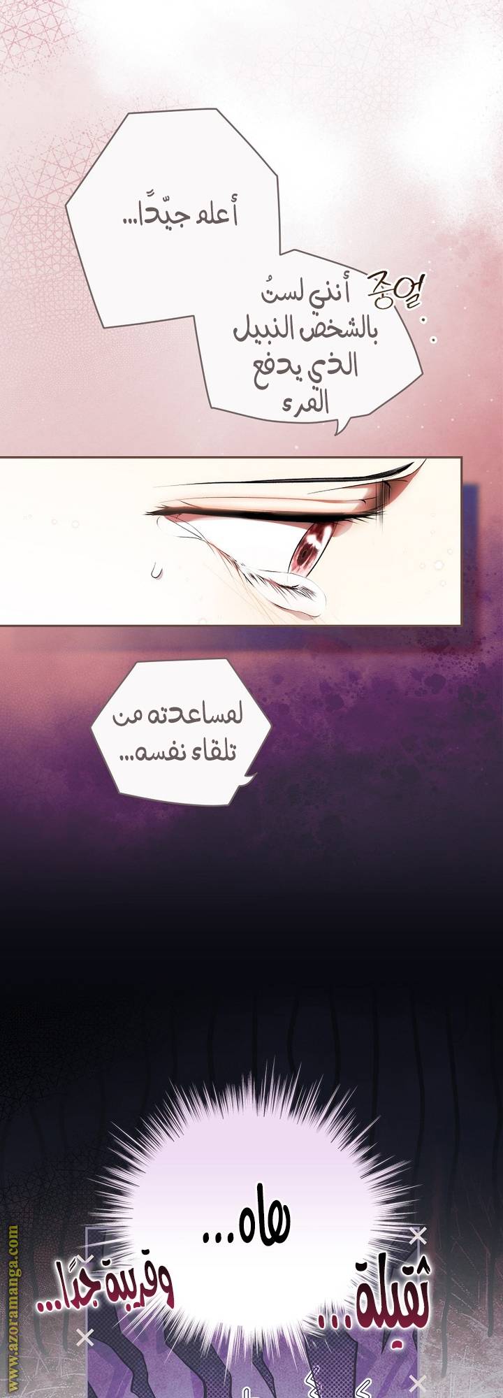 الصفحة 16