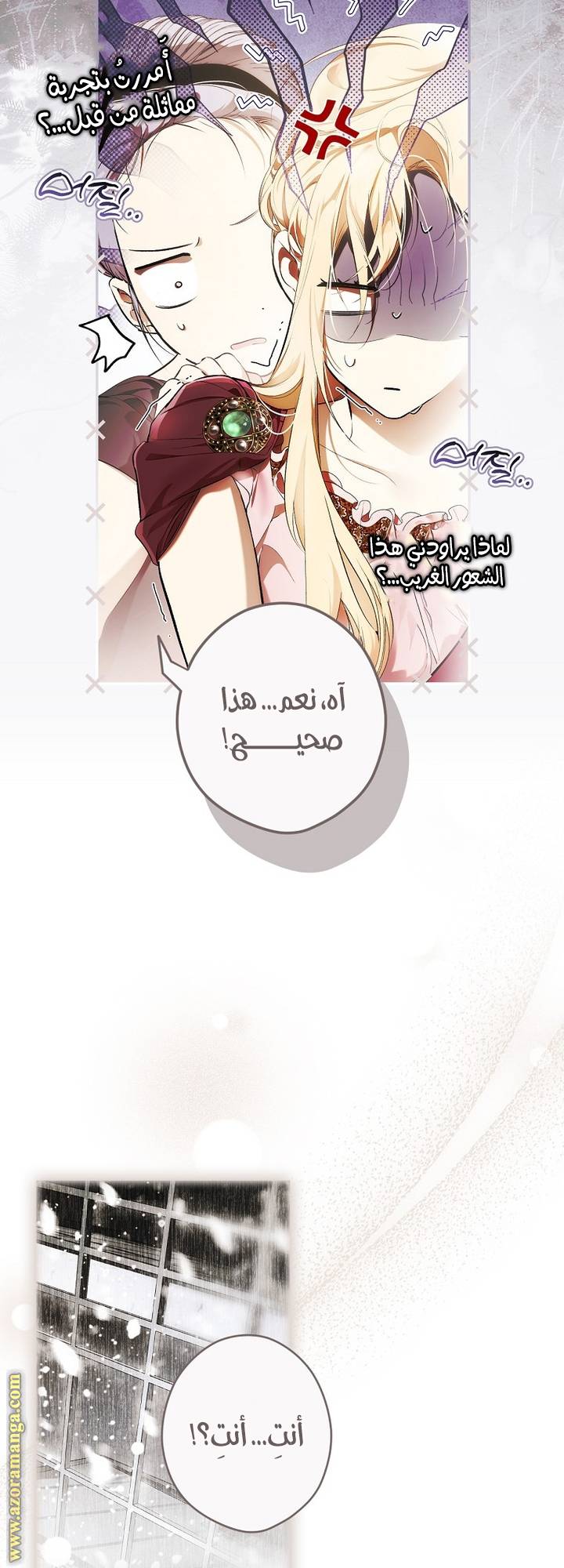 الصفحة 17