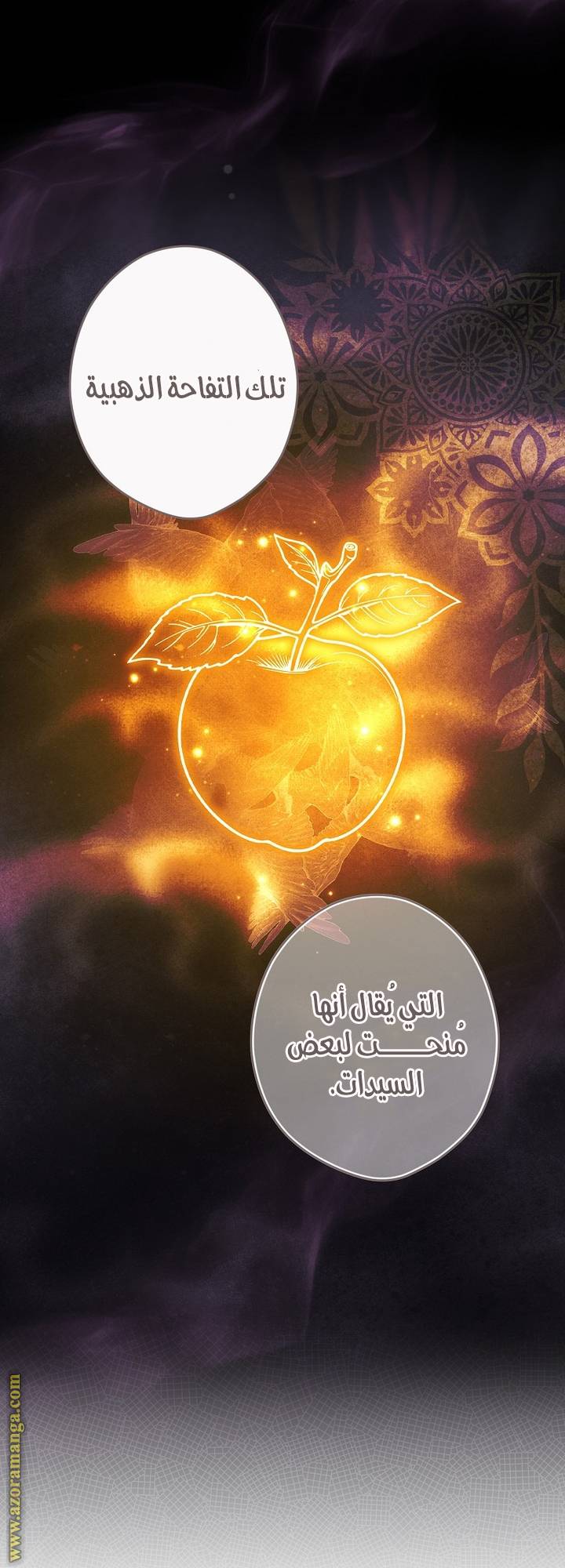 الصفحة 43