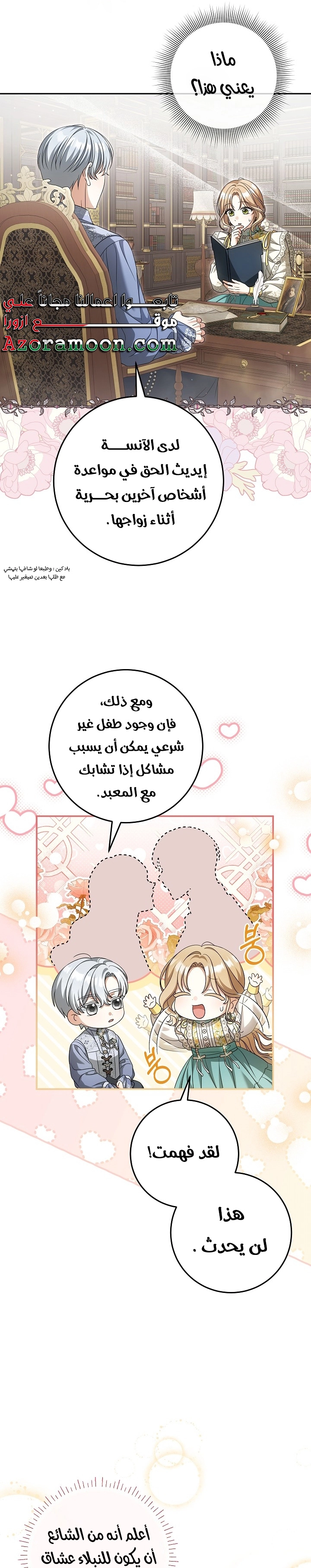 الصفحة 17