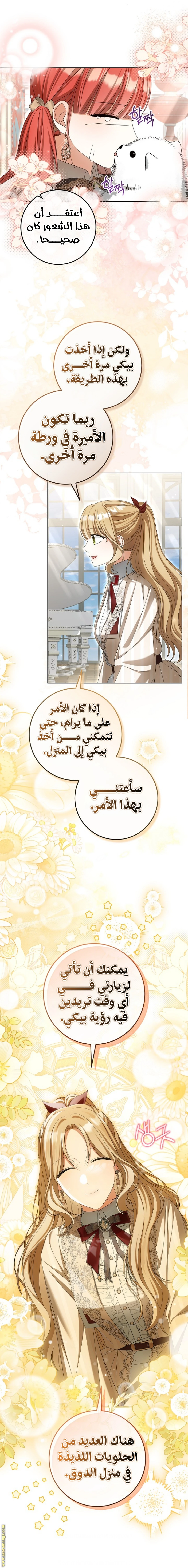 الصفحة 13