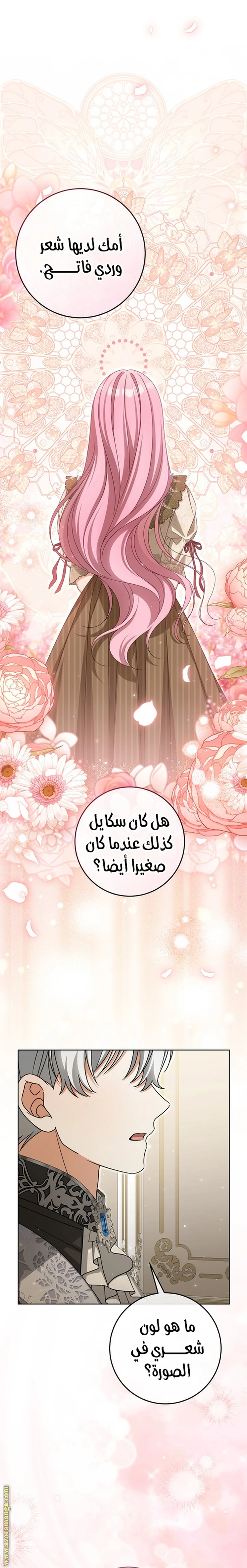 الصفحة 17