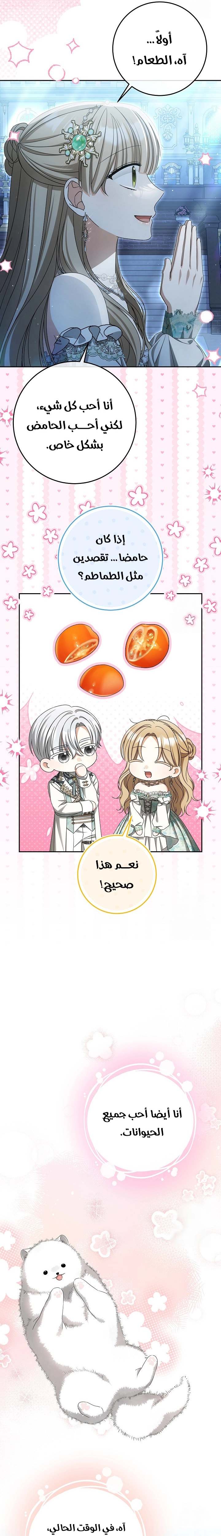 الصفحة 17