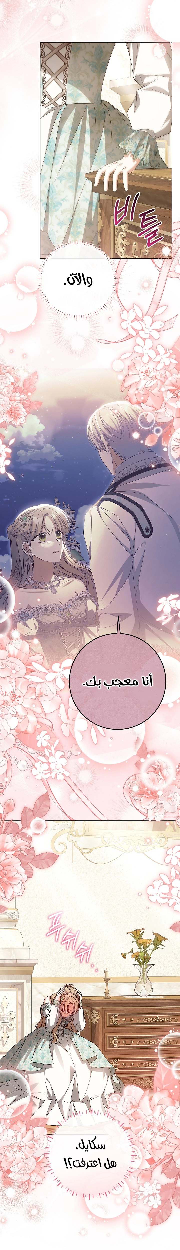 الصفحة 17