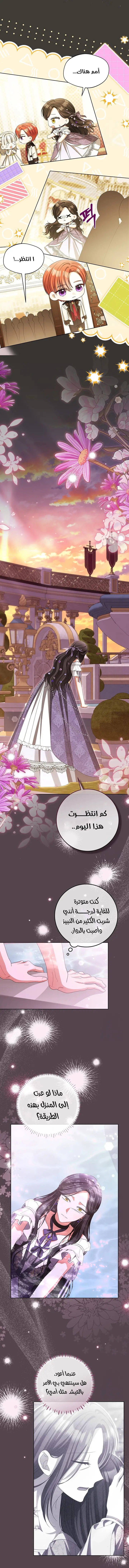 الصفحة 21