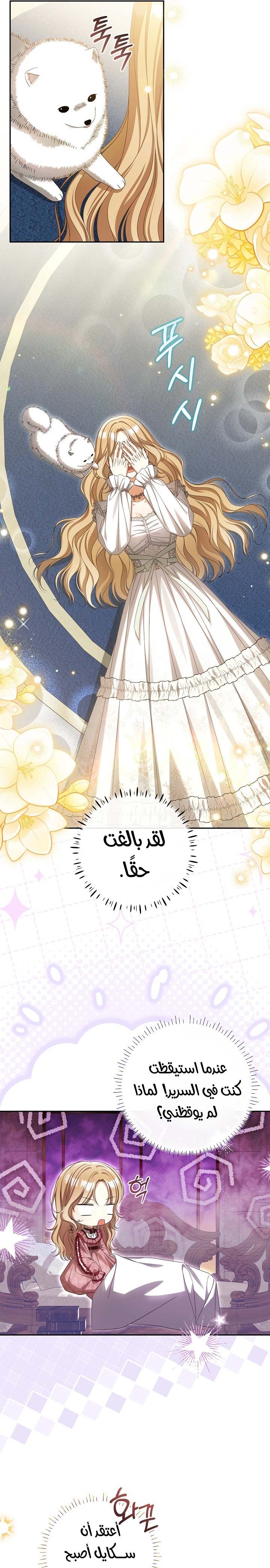 الصفحة 3