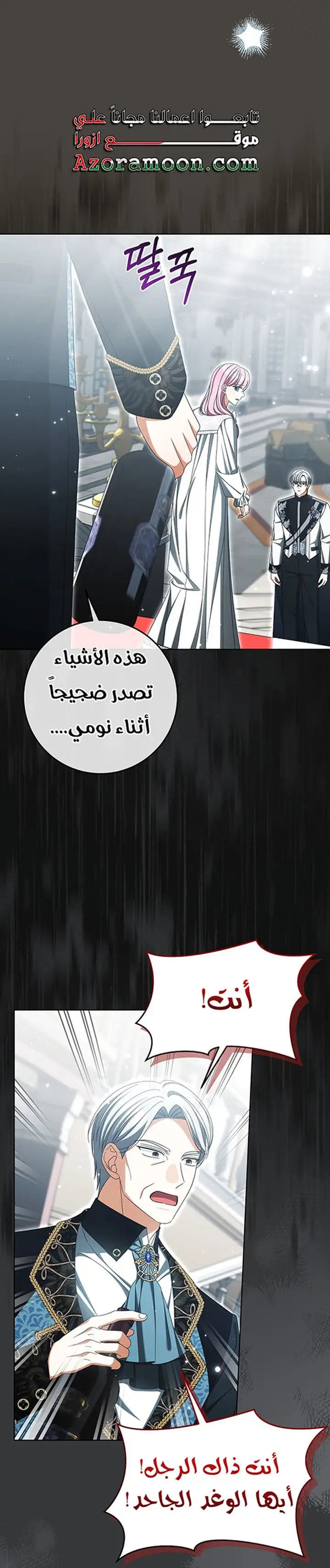 الصفحة 17