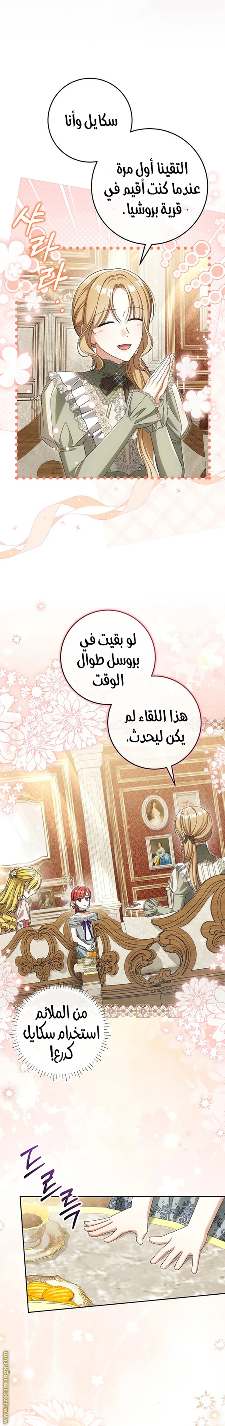 الصفحة 17