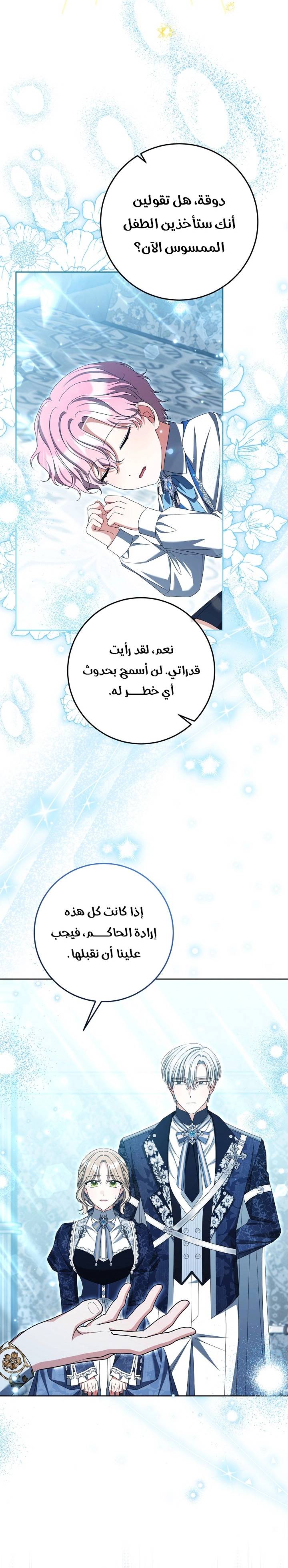 الصفحة 27