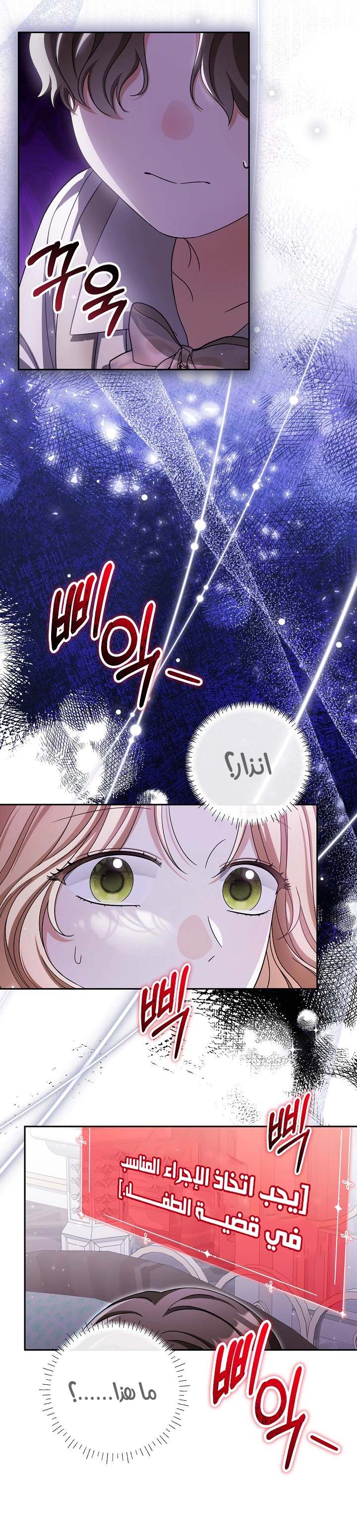 الصفحة 26
