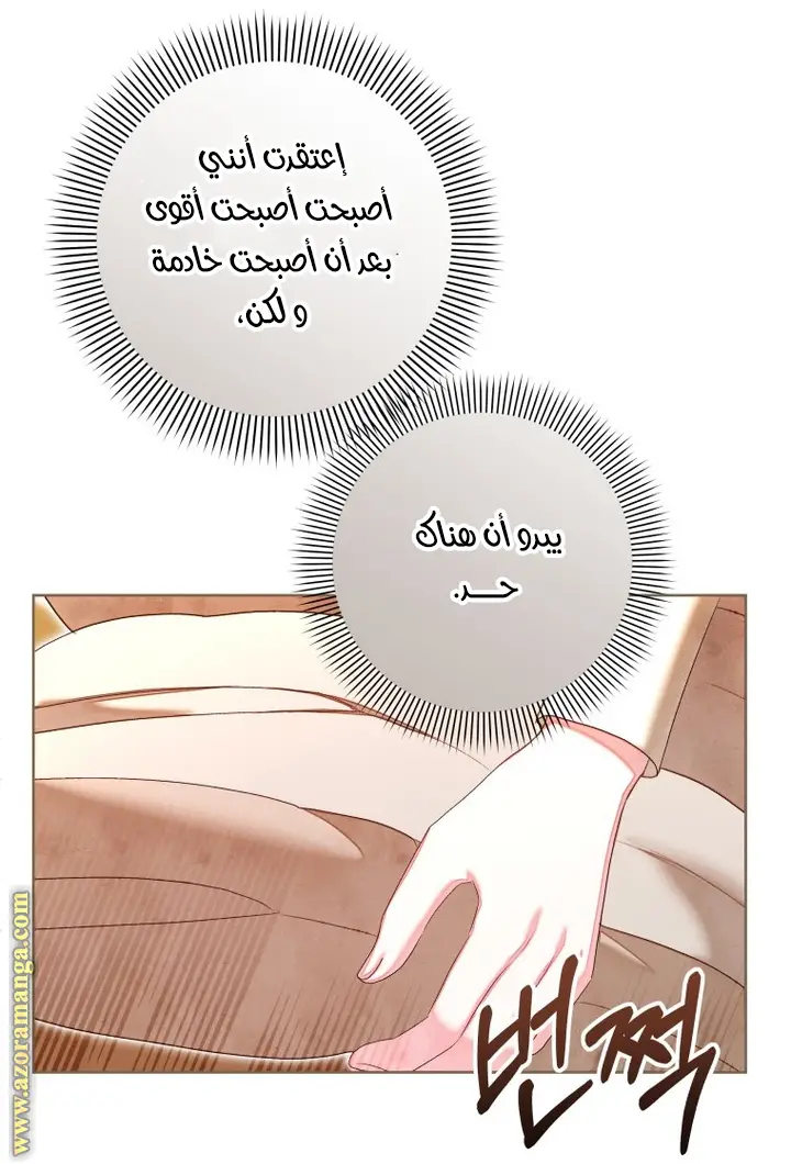 الصفحة 24
