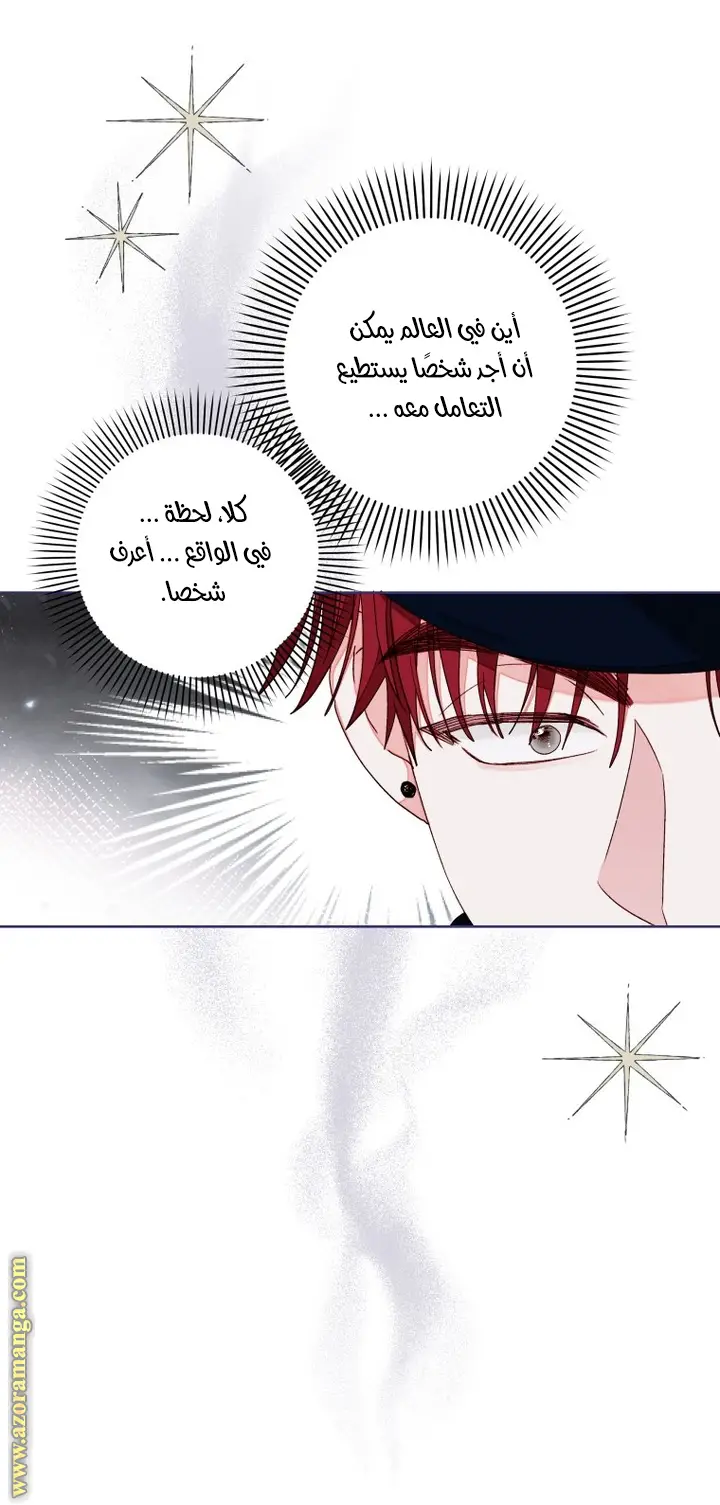 الصفحة 17