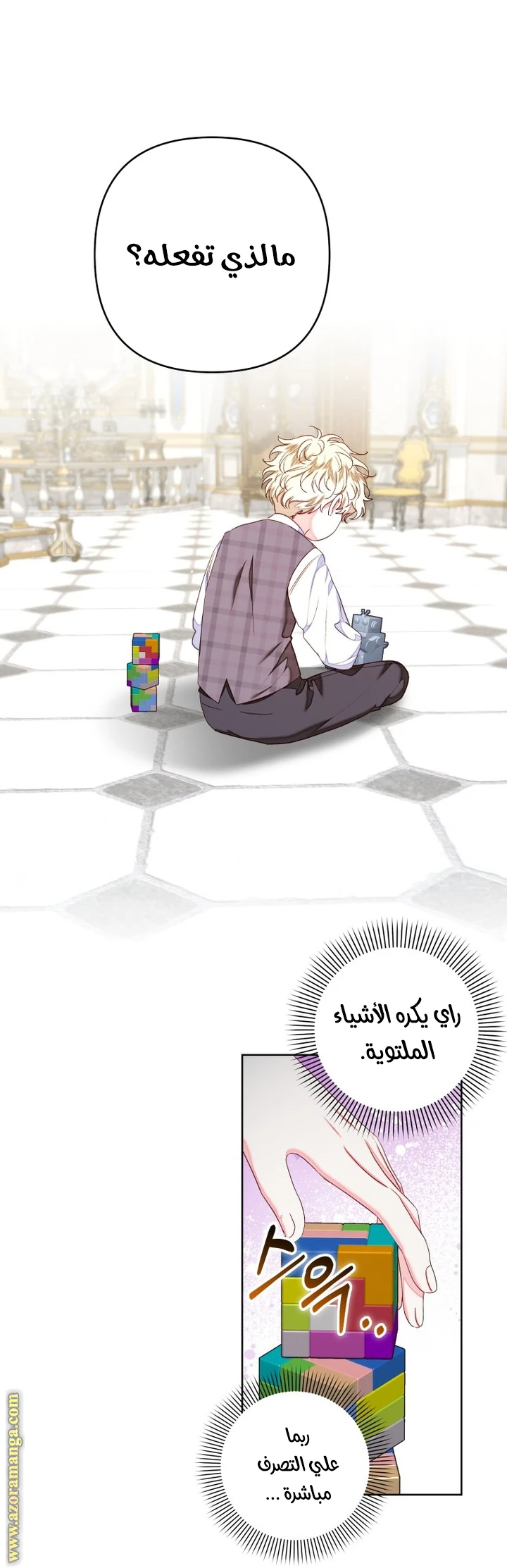 الصفحة 17