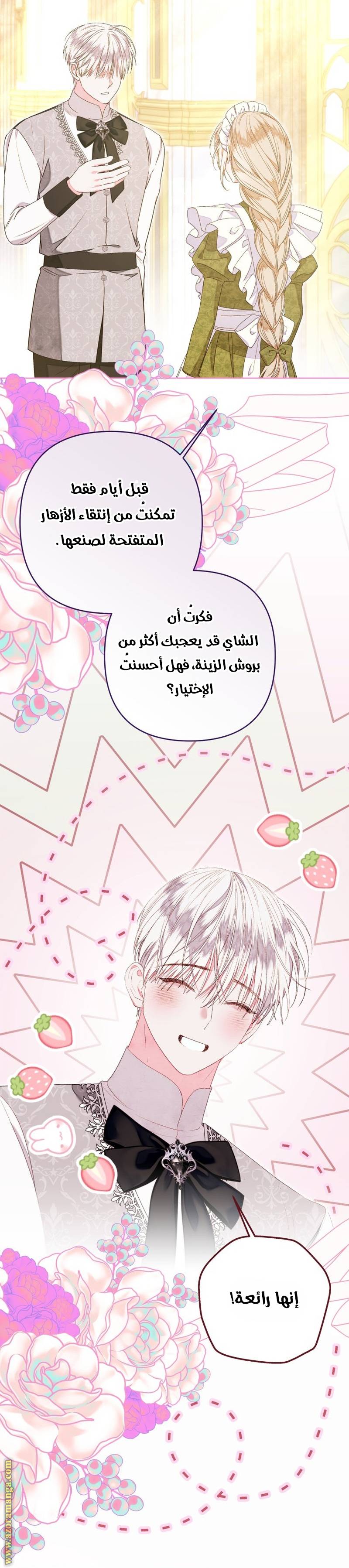 الصفحة 17
