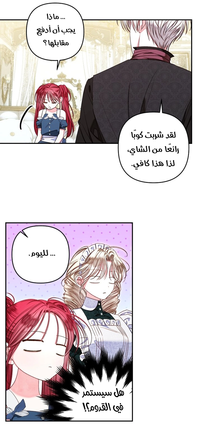 الصفحة 19