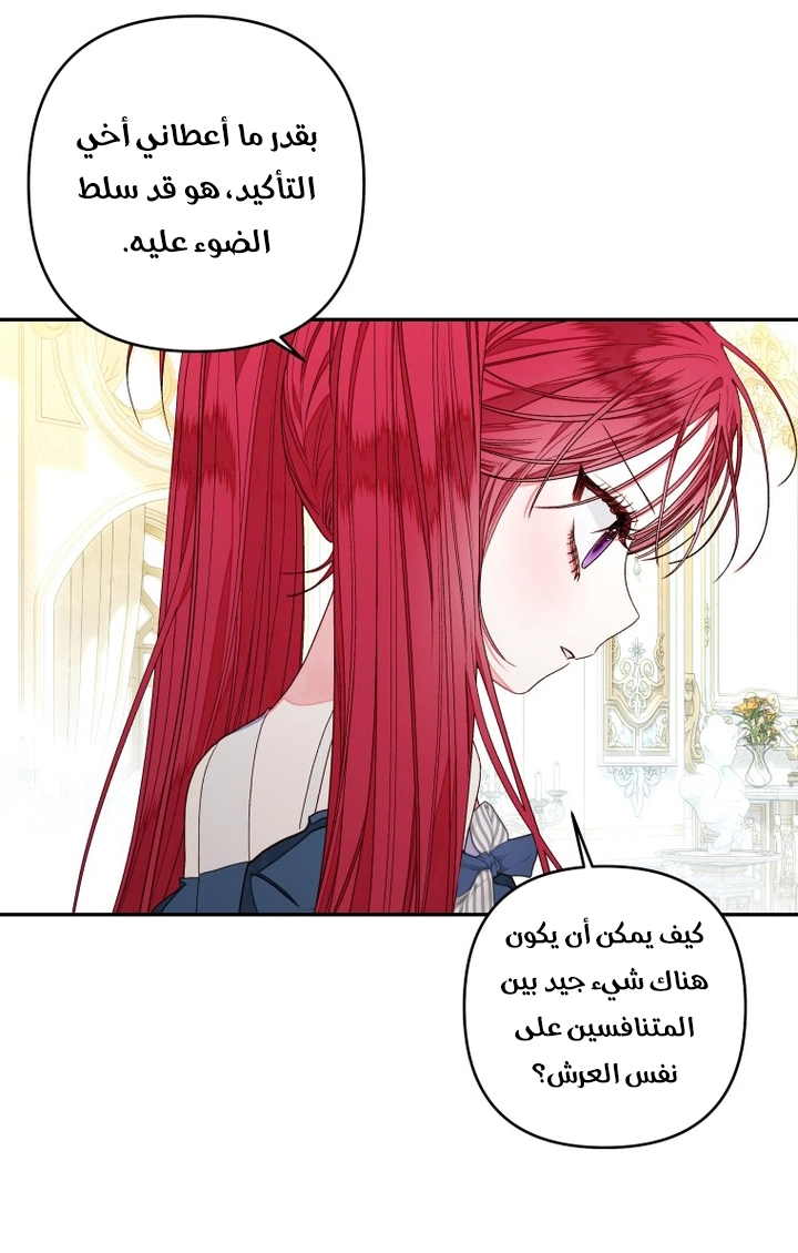 الصفحة 25