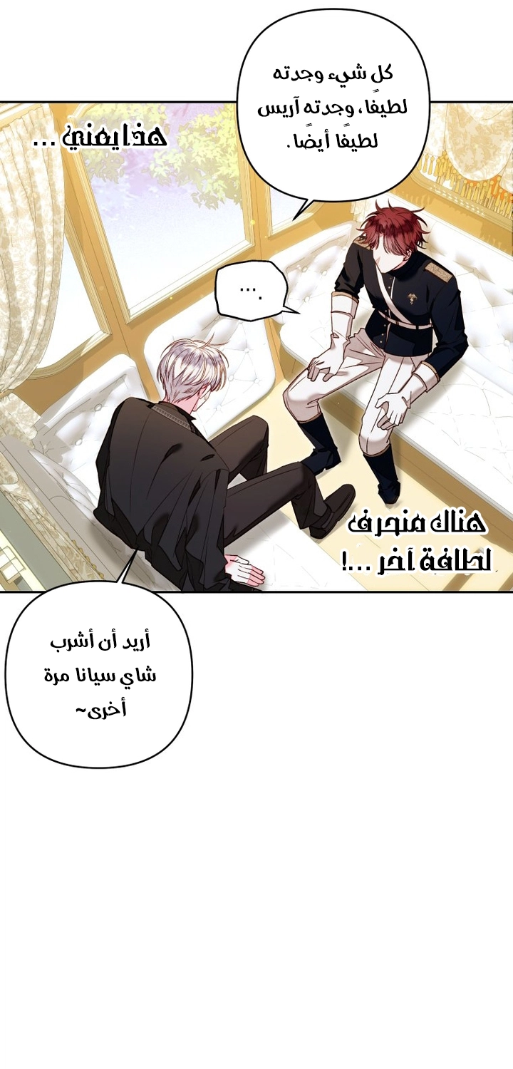 الصفحة 44