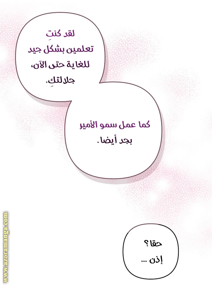 الصفحة 25