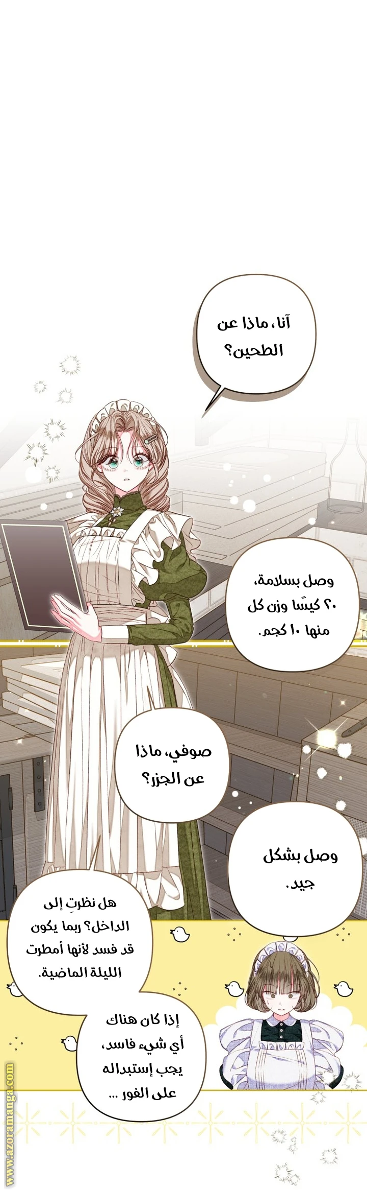 الصفحة 17