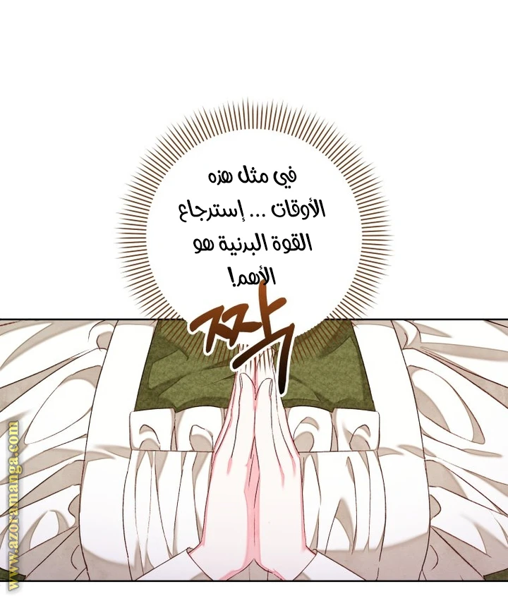 الصفحة 20