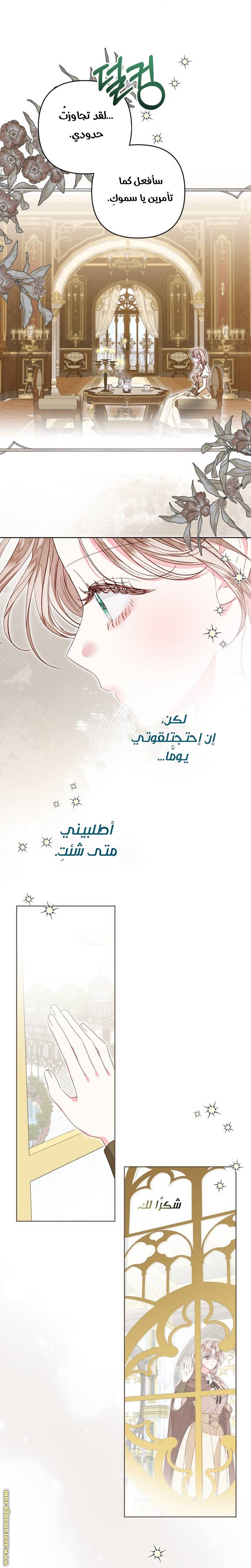 الصفحة 17