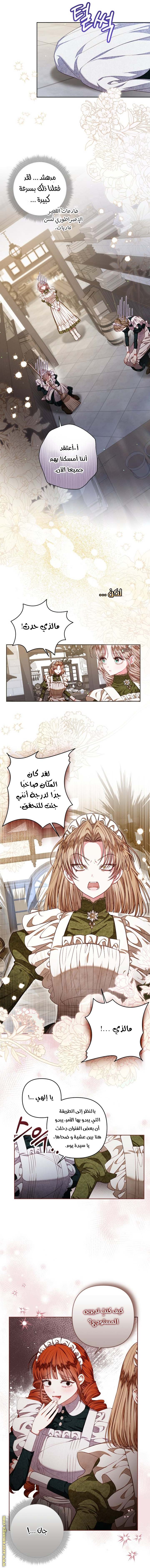 الصفحة 11
