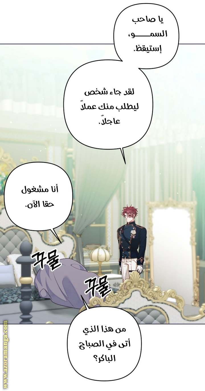 الصفحة 15