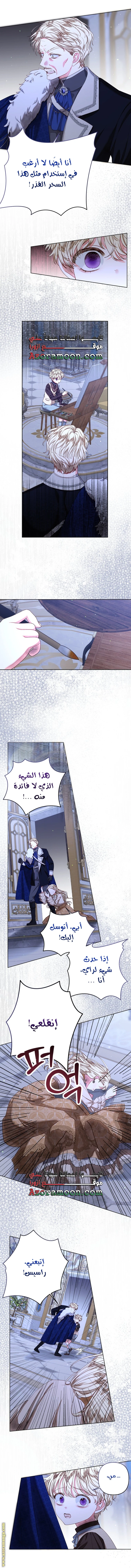 الصفحة 17