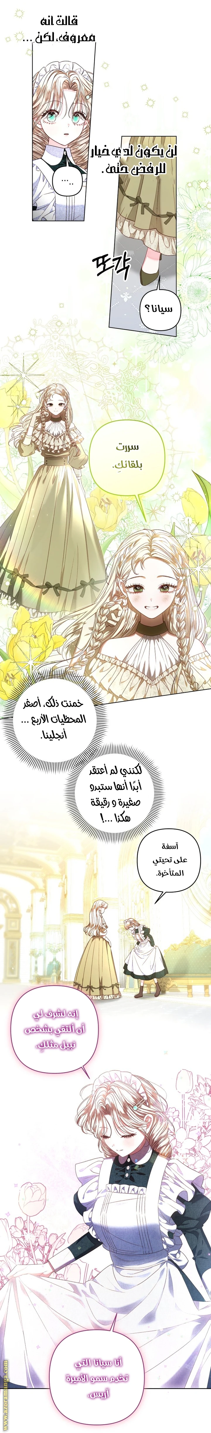 الصفحة 3