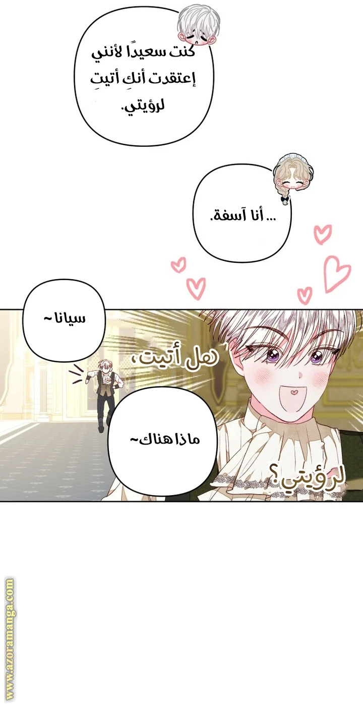 الصفحة 17