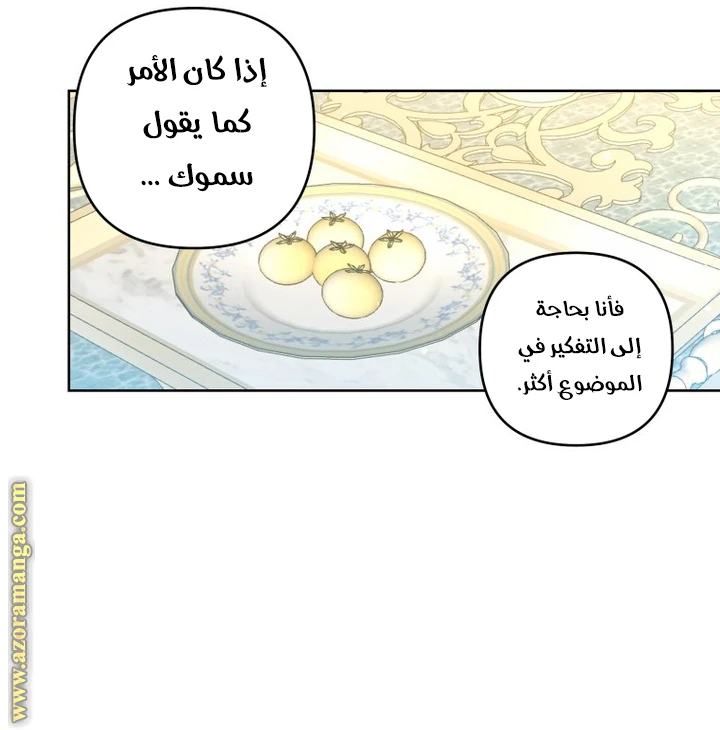 الصفحة 21
