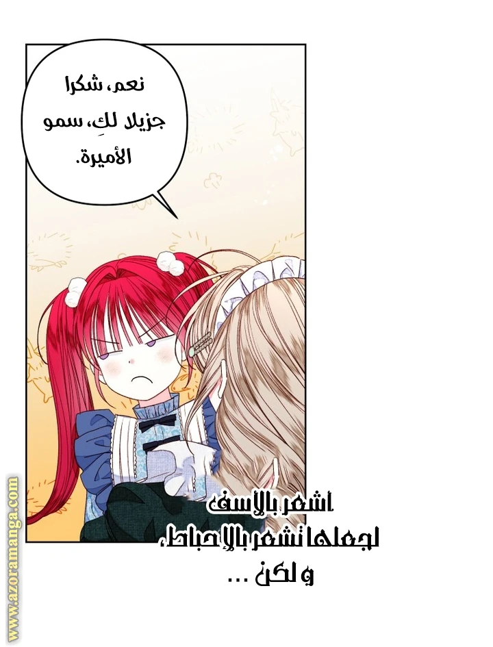 الصفحة 29