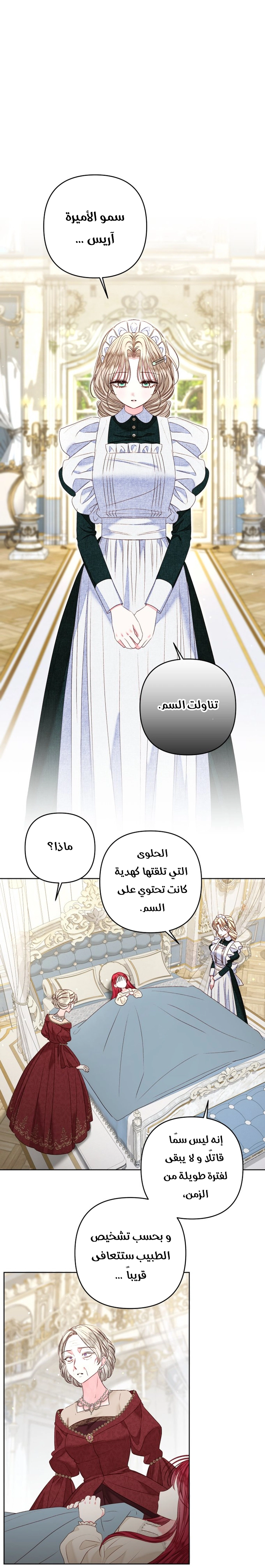 الصفحة 12