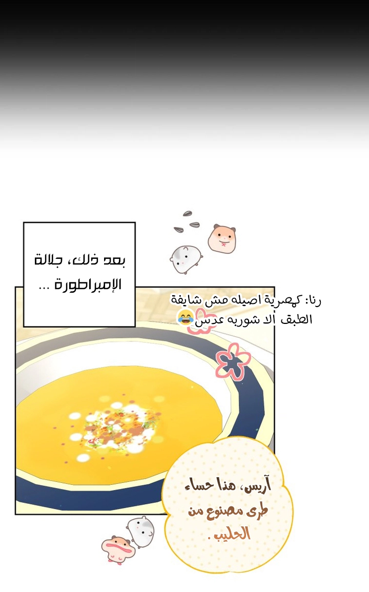 الصفحة 19