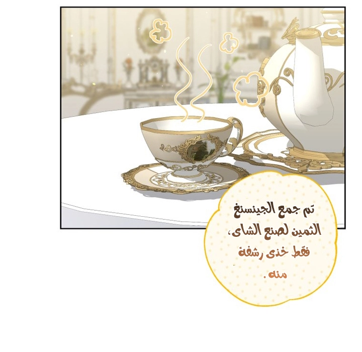 الصفحة 20
