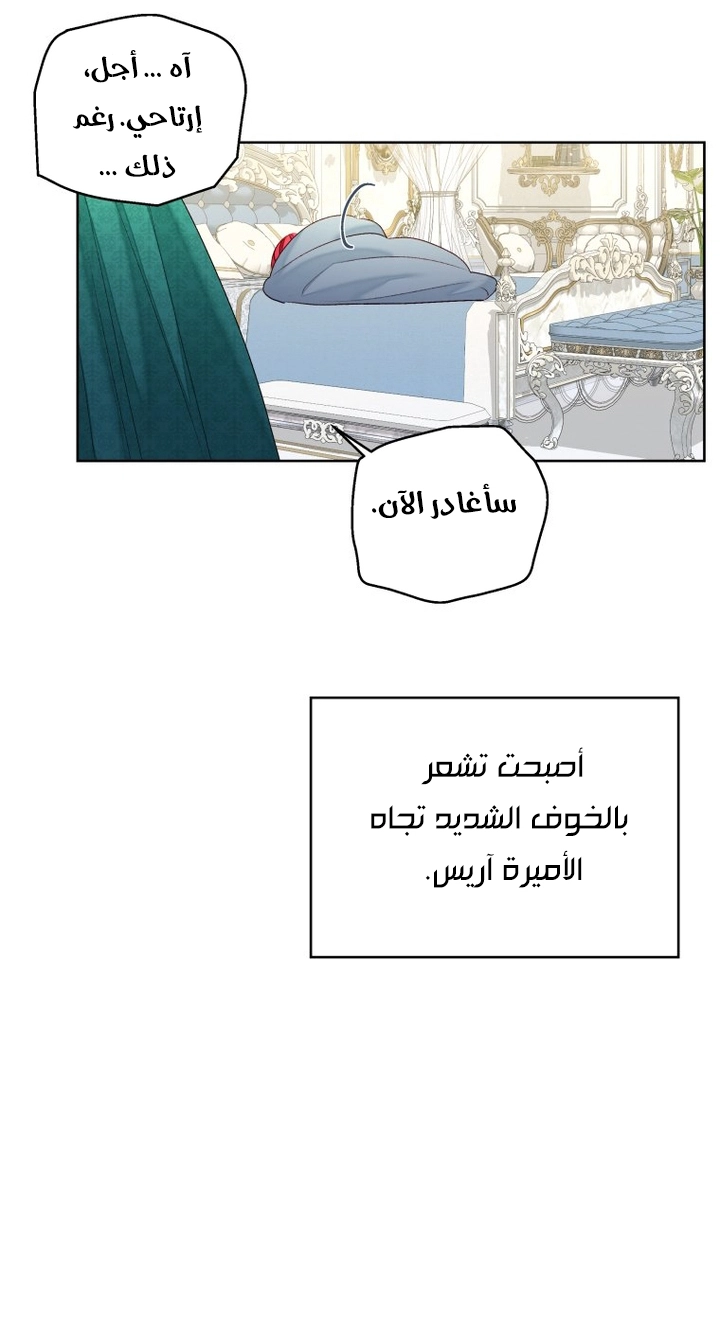 الصفحة 22