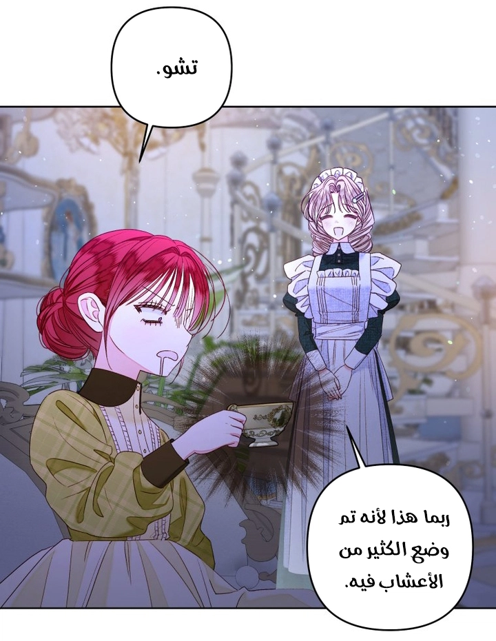 الصفحة 24