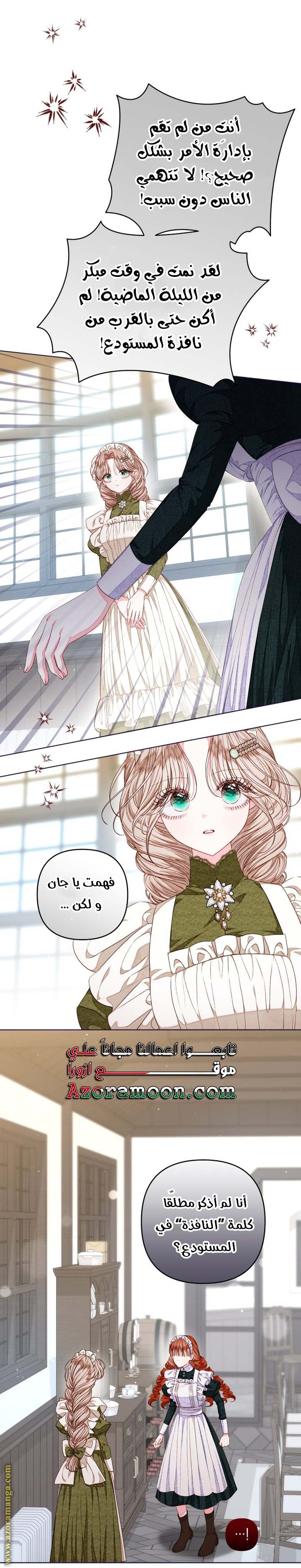 الصفحة 17