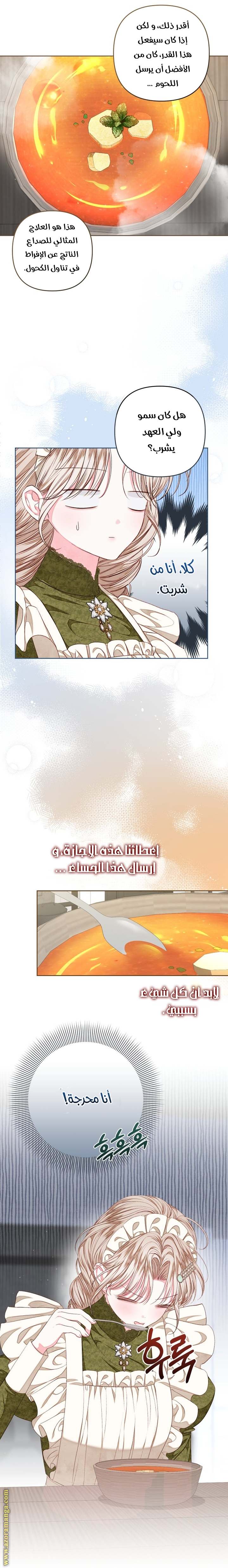 الصفحة 13