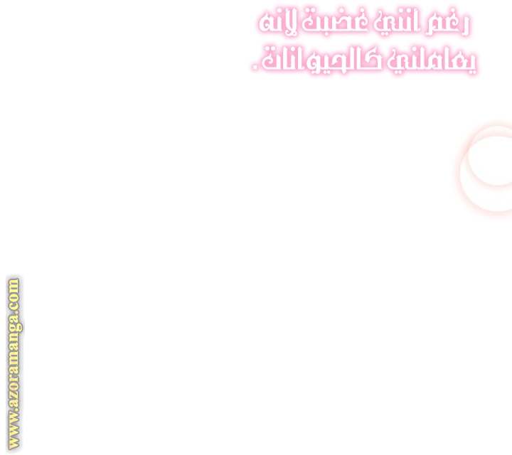 الصفحة 30
