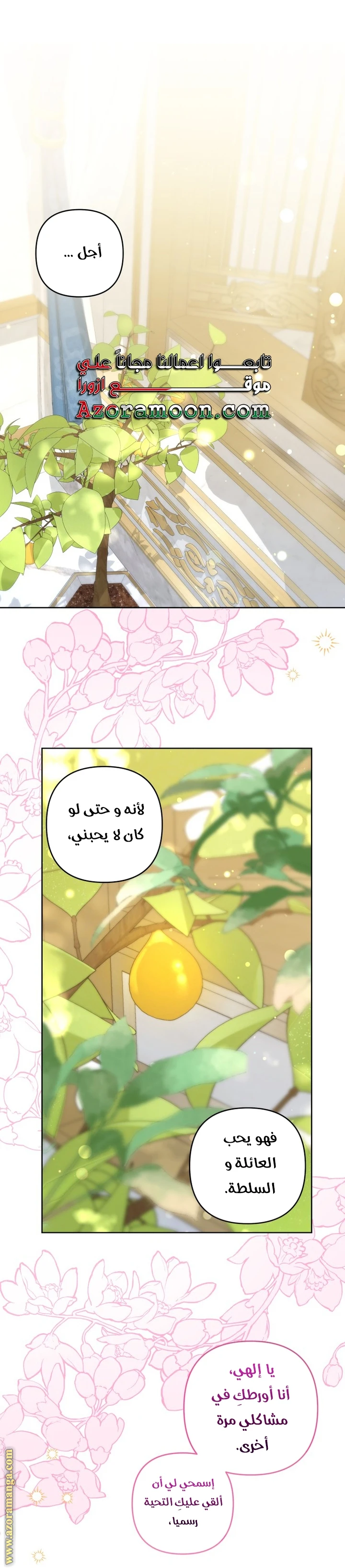 الصفحة 20