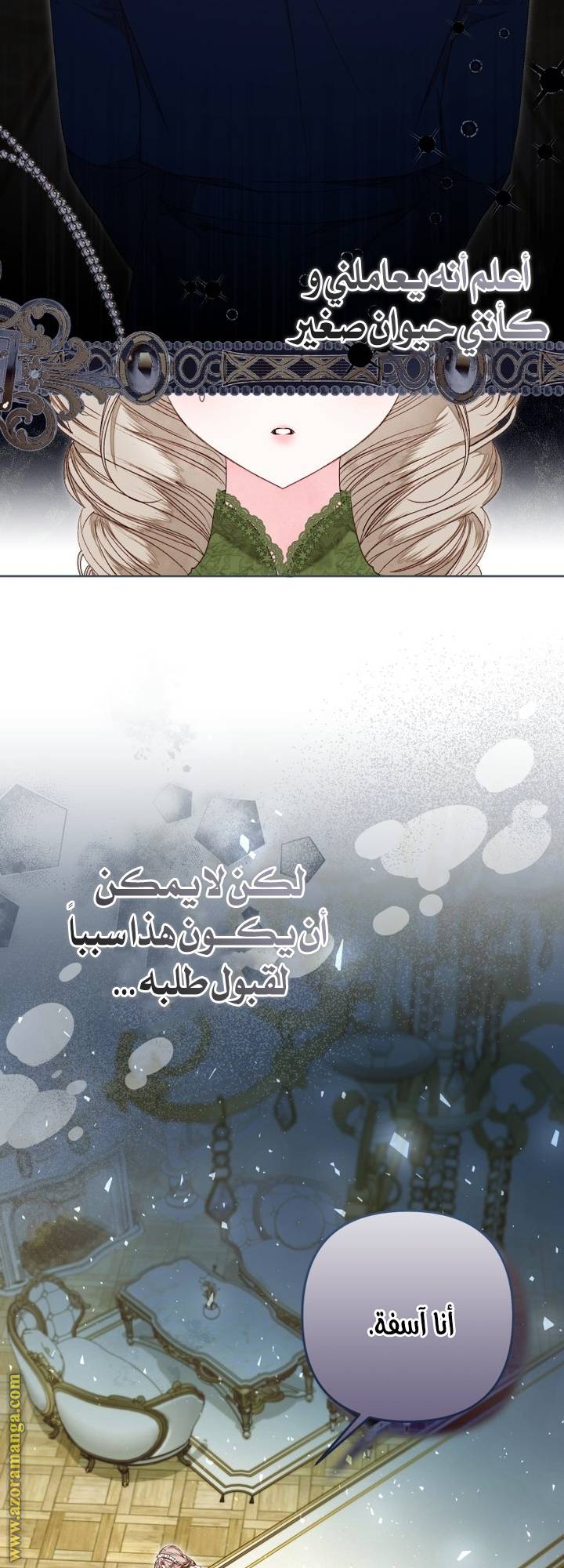 الصفحة 11