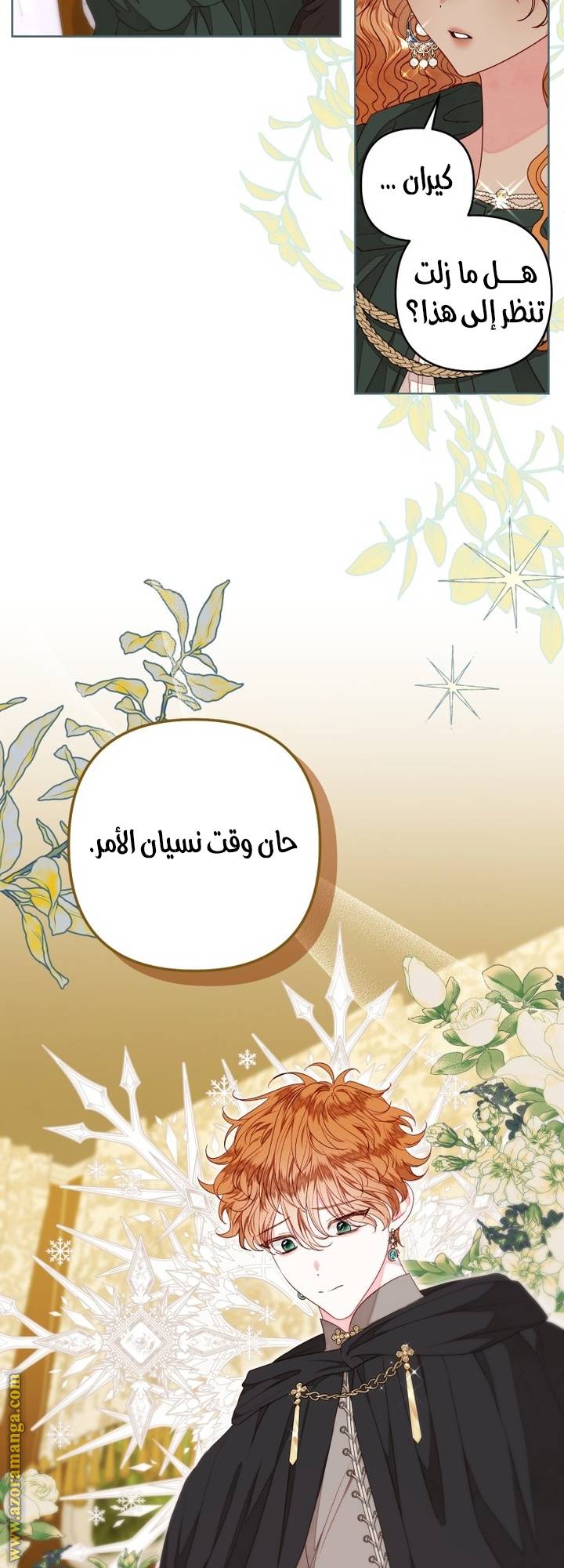 الصفحة 41