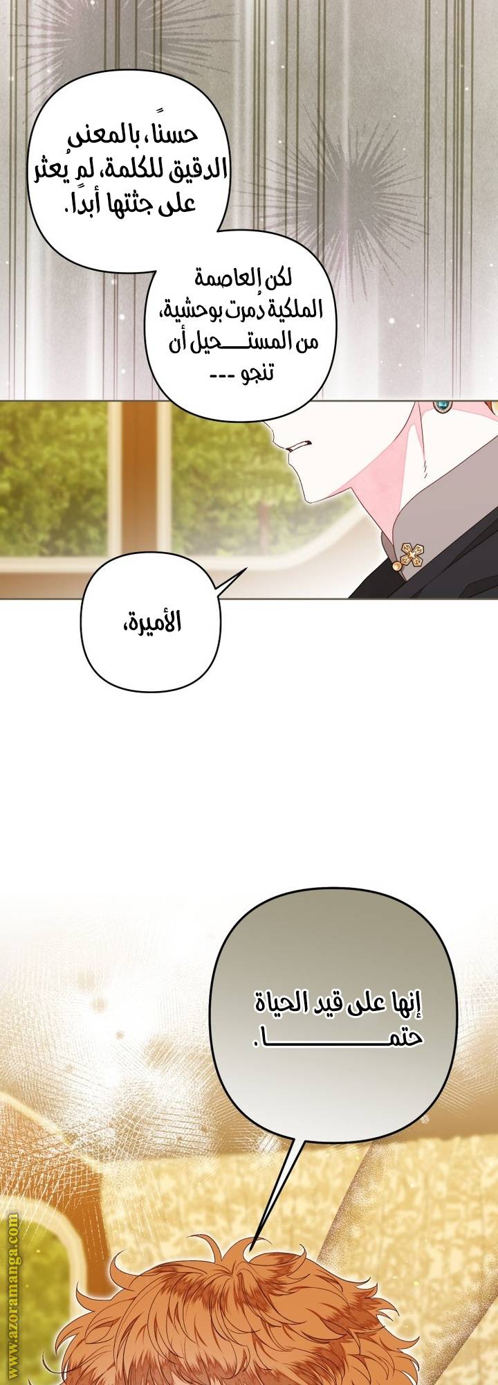 الصفحة 43