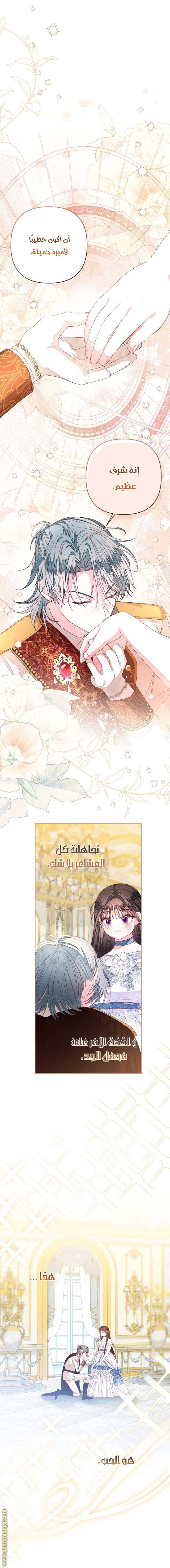 الصفحة 14