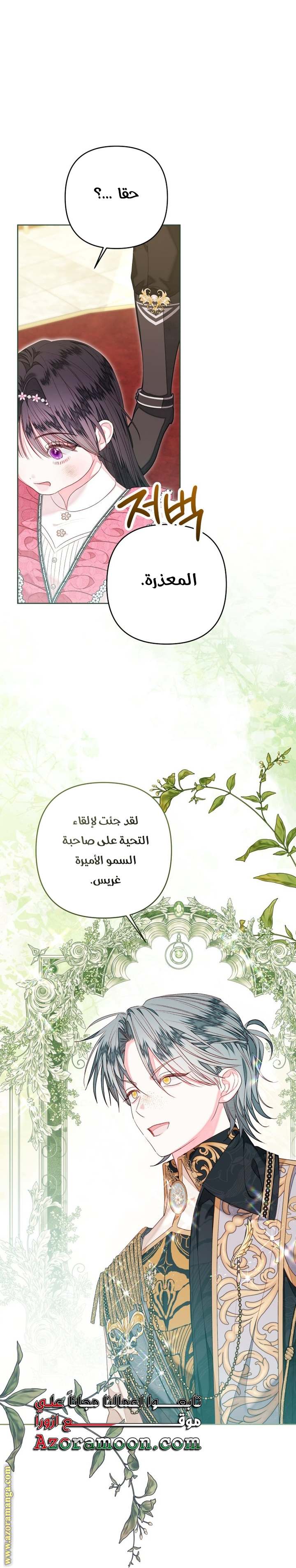 الصفحة 19