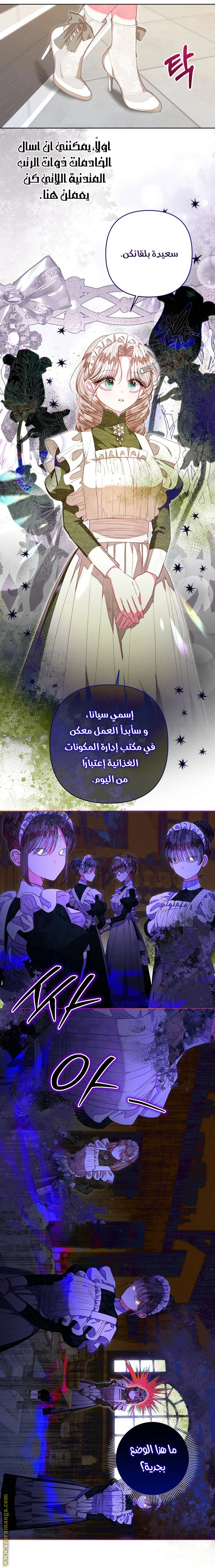 الصفحة 31