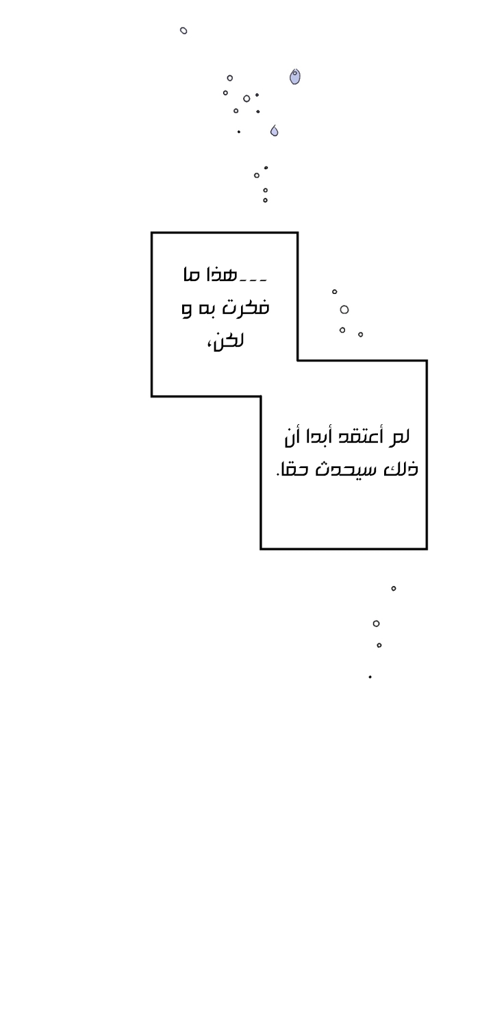 الصفحة 26