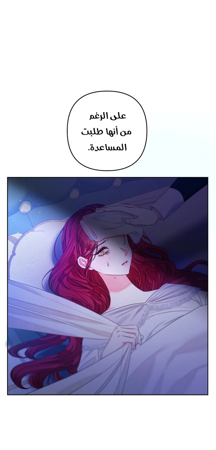 الصفحة 31
